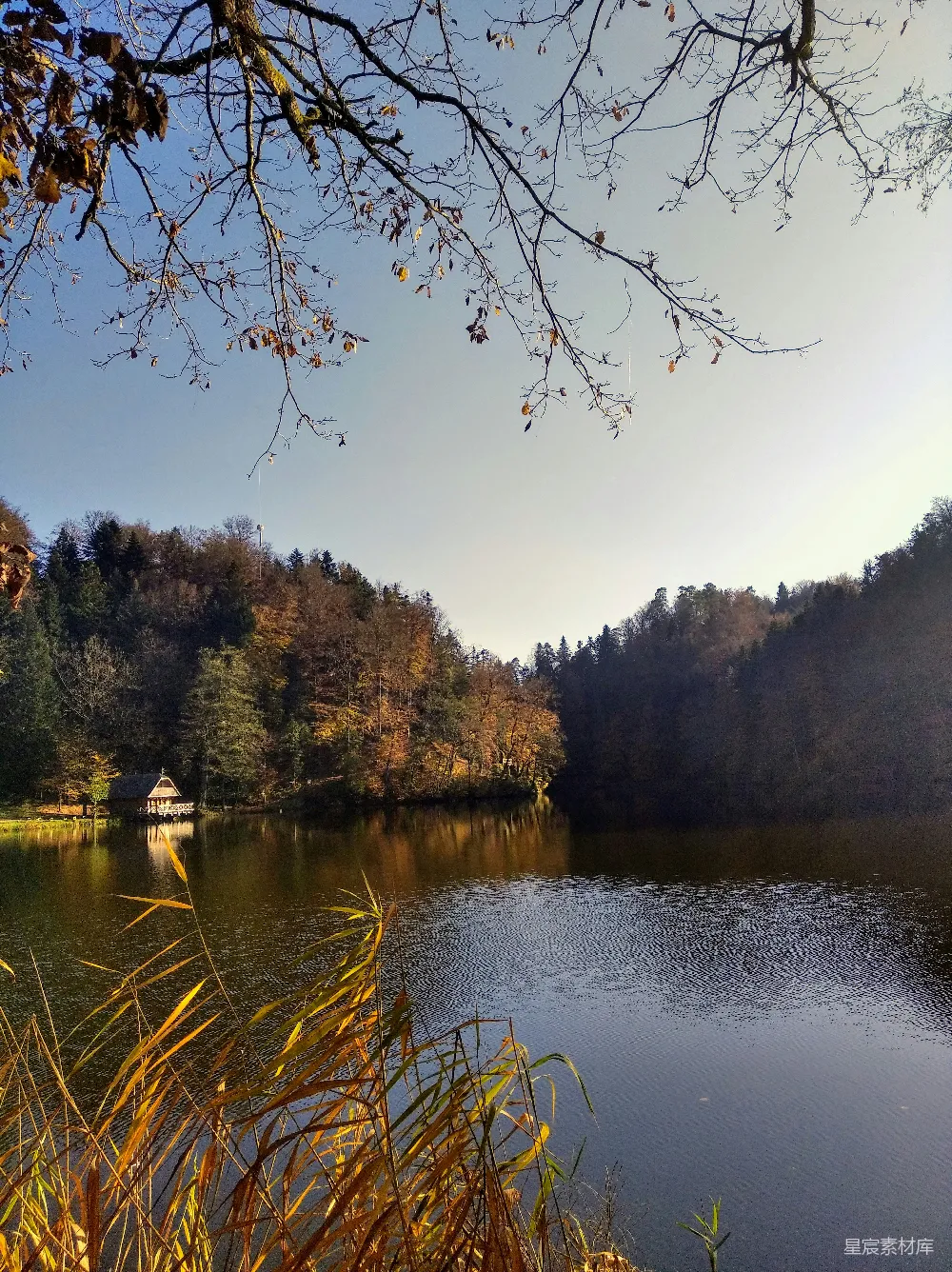 高清摄影 秋景 湖泊 自然风光 宁静 户外 秋日湖畔的宁静时光