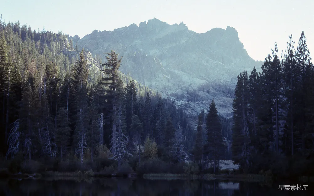 高清摄影 自然风光 宁静 山林 湖景 森林 静谧的湖畔森林