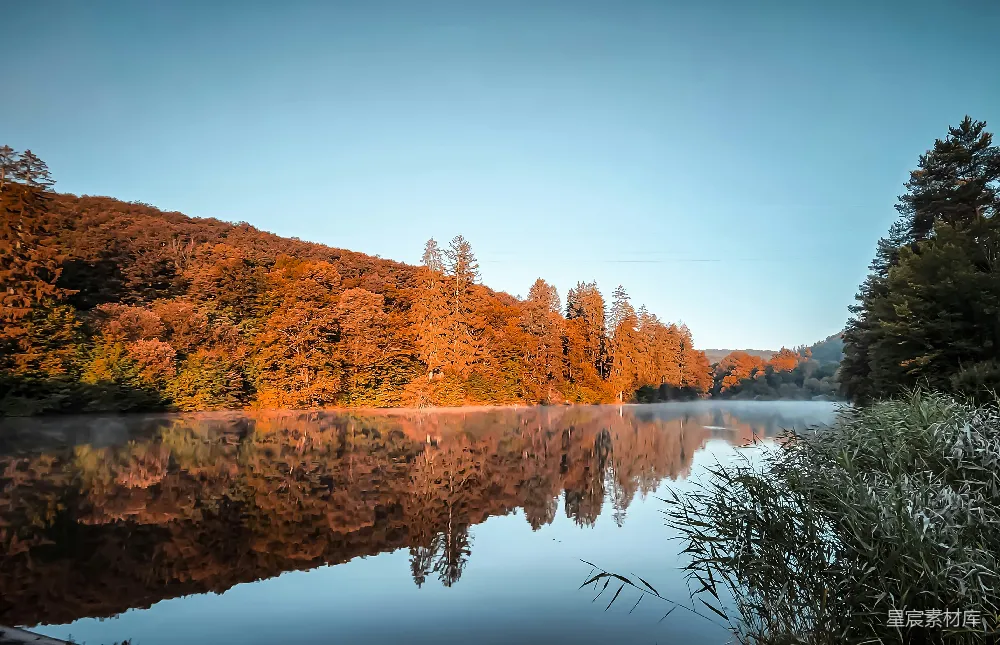 高清摄影 秋天 湖畔 晨光 自然美景 宁静 秋日湖畔静谧晨光