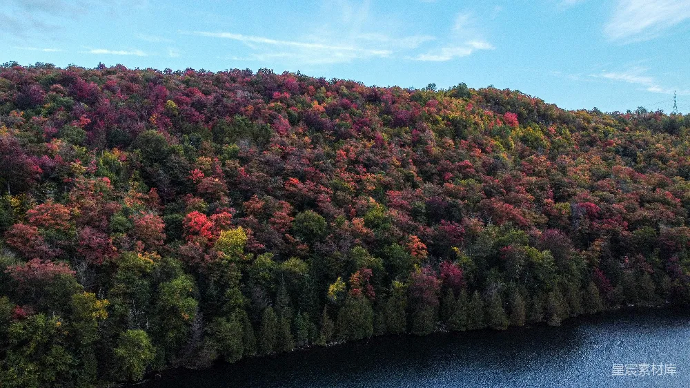 高清摄影 秋景 自然风光 森林 航拍 秋天 秋日山林的色彩盛宴