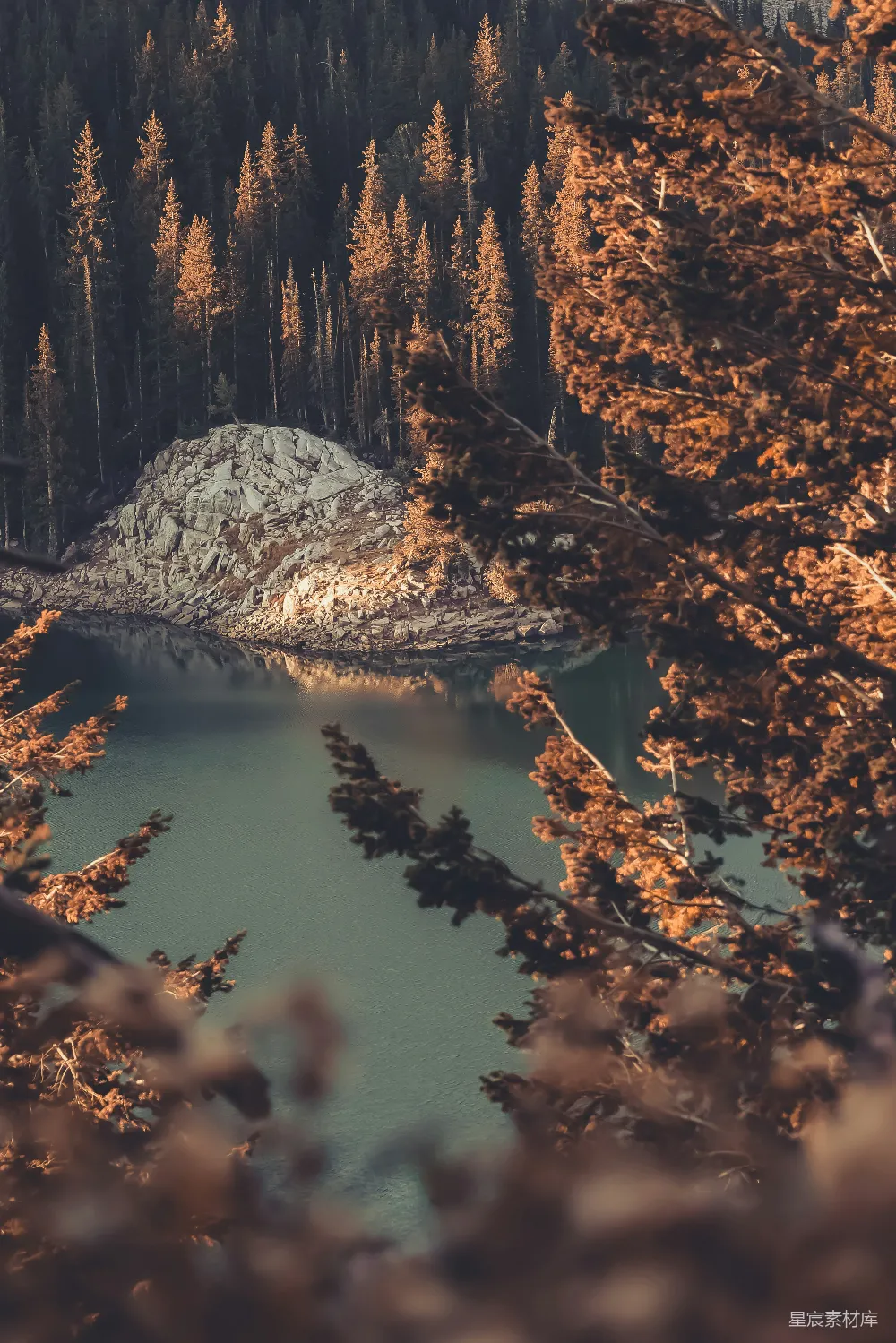 高清摄影 秋景 森林 湖泊 宁静 自然 秋日森林中的宁静湖景