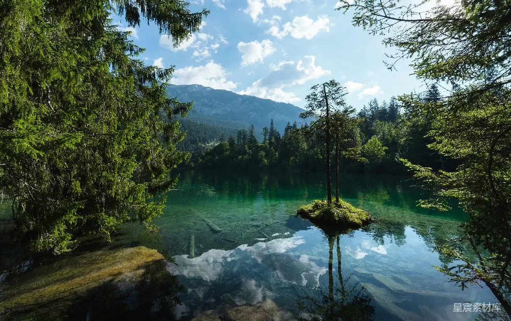 高清摄影 自然风光 宁静 湖景 森林 户外 湖畔的宁静时光