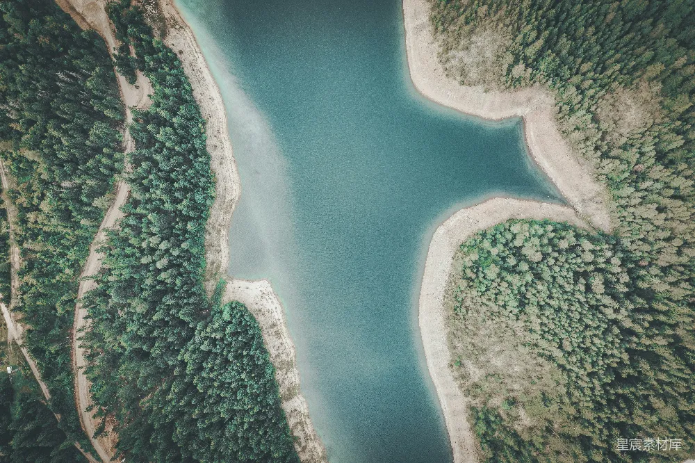 高清摄影 湖泊 森林 鸟瞰 自然 风景 森林中的湖泊鸟瞰图