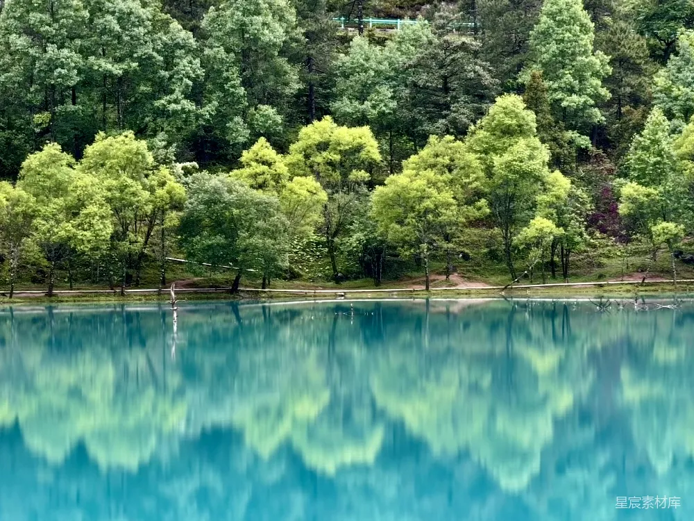 高清摄影 自然风光 湖光山色 清新 绿树成荫 宁静 湖畔绿意盎然