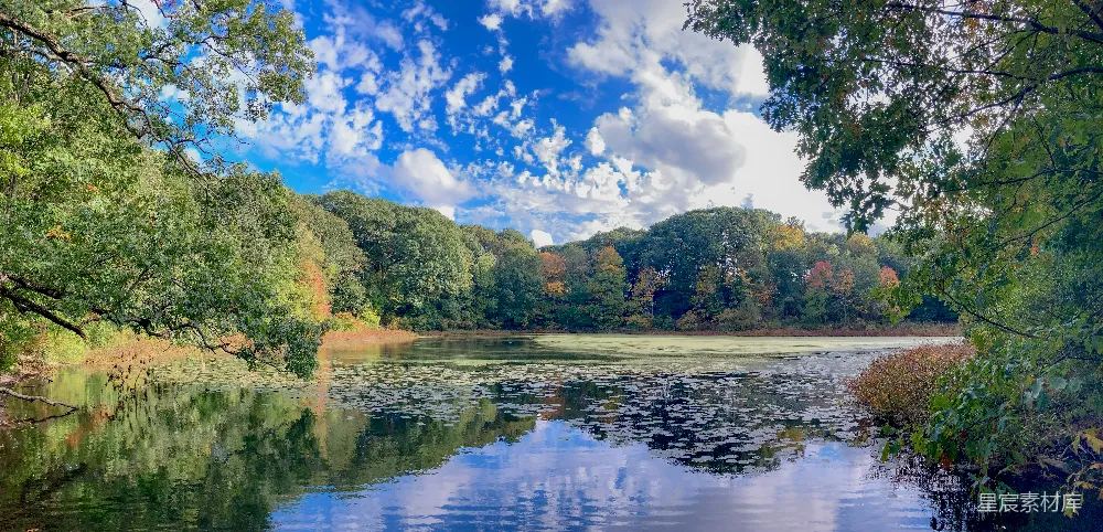 高清摄影 秋景 自然风光 宁静 湖泊 森林 秋日湖畔