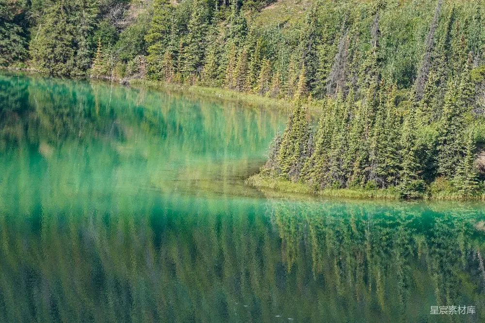 高清摄影 自然风光 湖光山色 秋景 宁静 自然之美 碧绿湖面映秋林