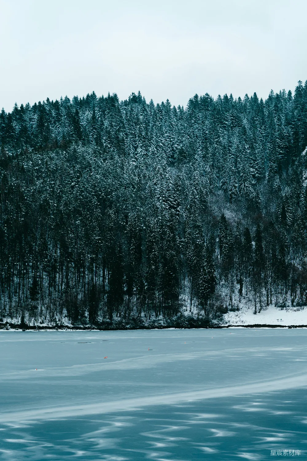 高清摄影 冬日 森林 湖泊 宁静 自然 冬日静谧的森林湖泊