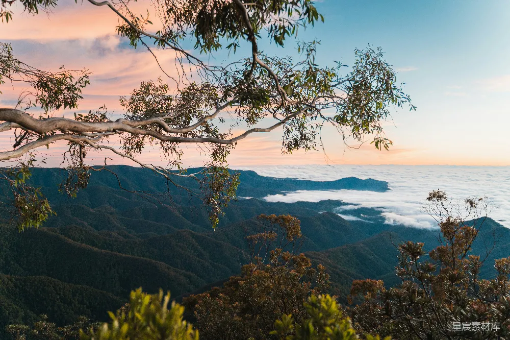 高清摄影 自然风光 晨雾 山脉 宁静 户外 山间晨雾与树影的交响