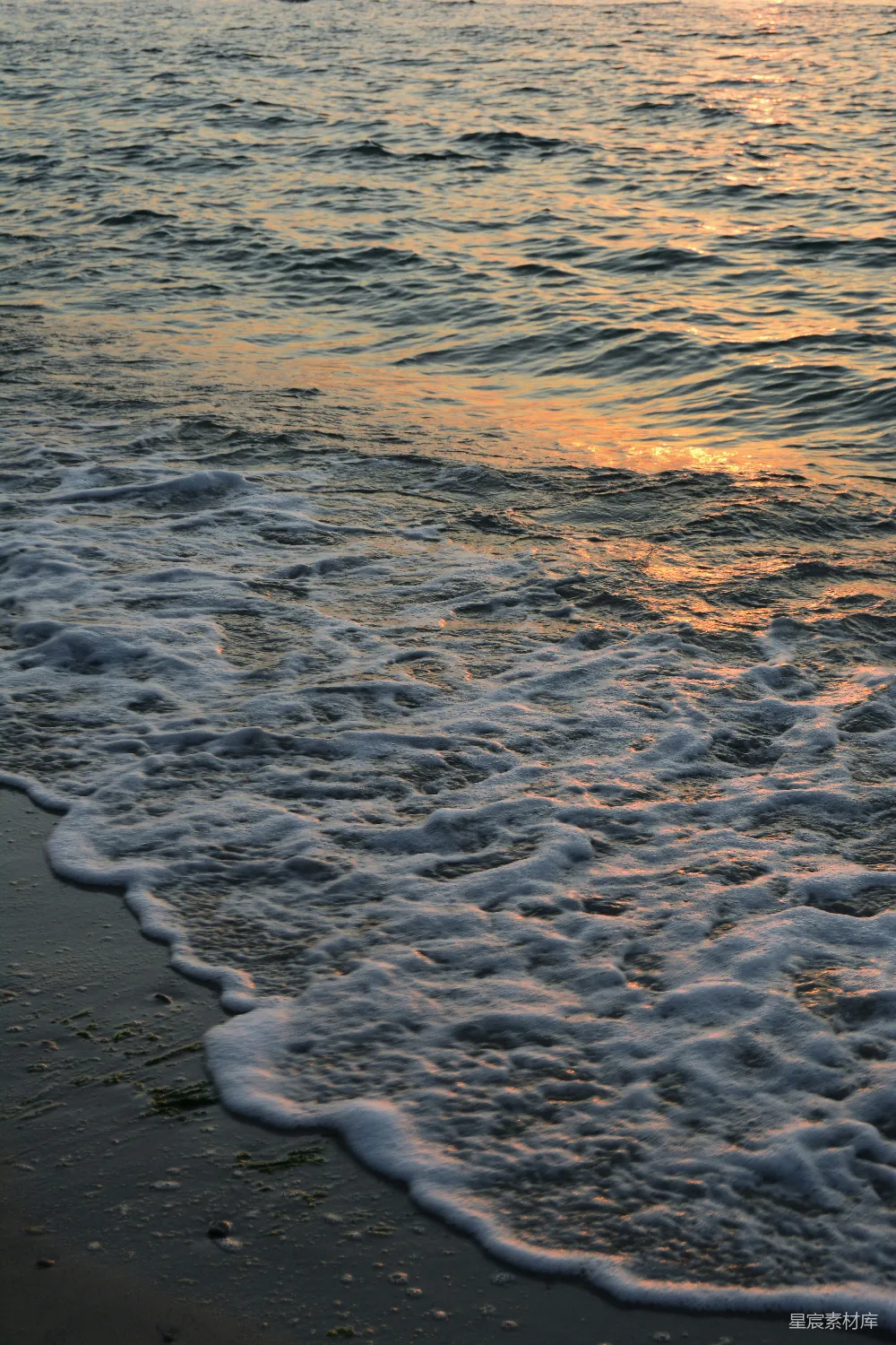 高清摄影 海滩 日落 自然风光 宁静 海岸 日落时的海滩浪花