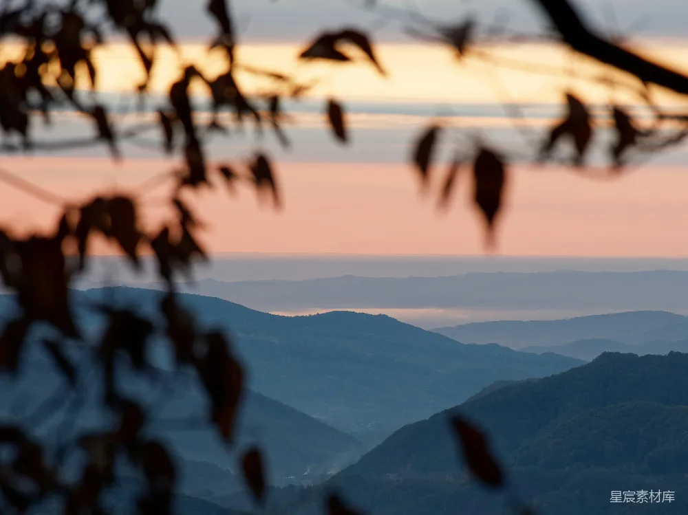 高清摄影 自然风光 清晨 山峦 树叶 宁静 晨曦中的山峦与树叶