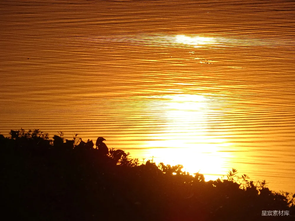 高清摄影 夕阳 湖面 宁静 自然景观 日落 夕阳下的宁静湖面