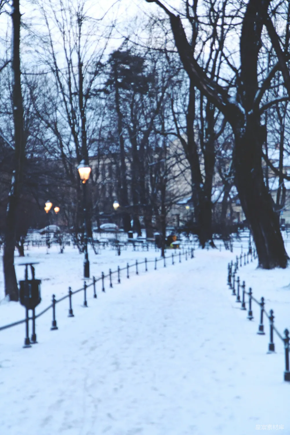 高清摄影 雪景 冬天 小径 公园 宁静 冬日雪景中的幽静小径