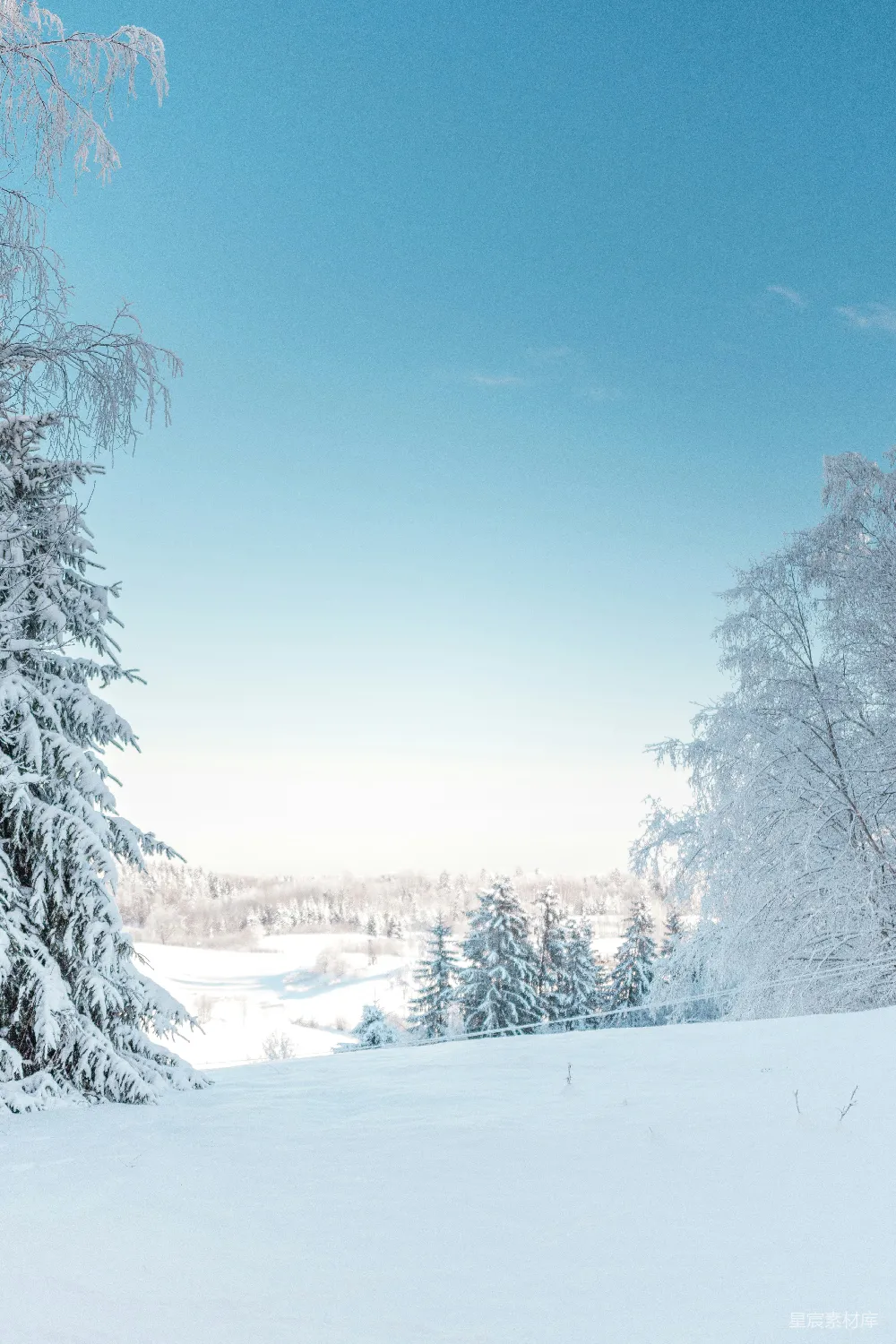 高清摄影 雪景 冬季 自然风光 宁静 户外 冬日仙境雪景
