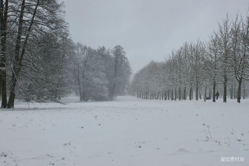 高清摄影 雪景 冬季 自然风光 树影 宁静 雪中树影下的宁静小径