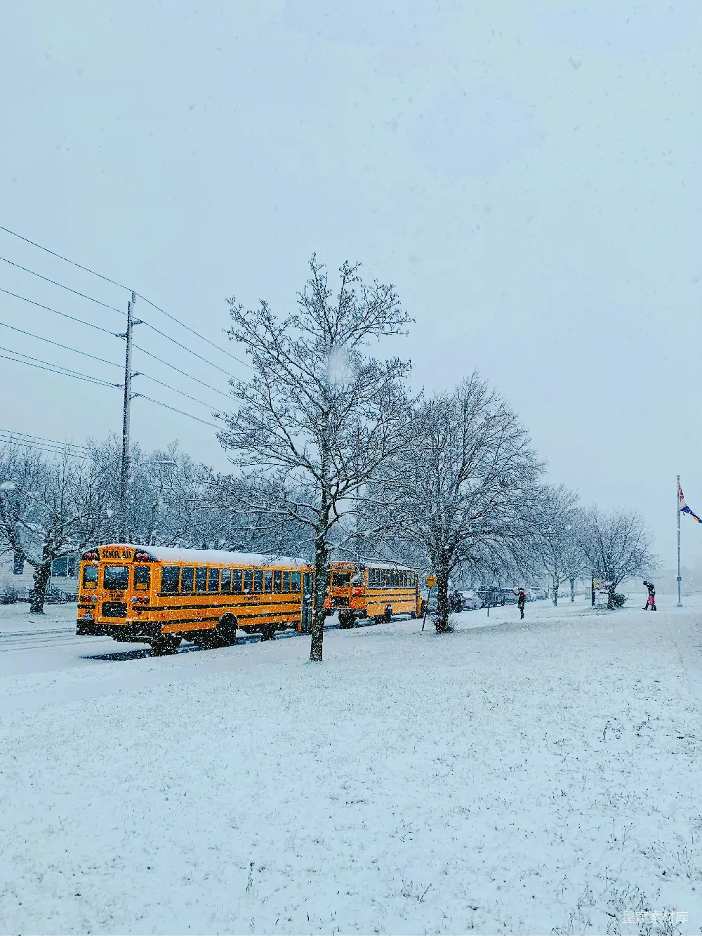 高清摄影 校车 雪景 冬季 城市 交通 雪中的校车