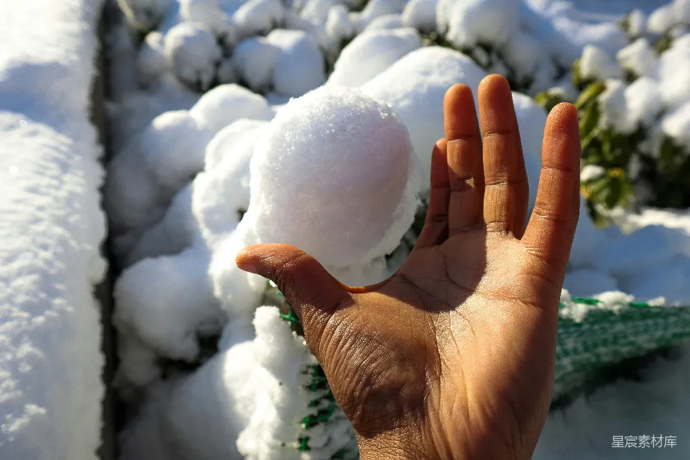 高清摄影 雪球 手部特写 冬季 自然 休闲 手捧雪球的冬日时光