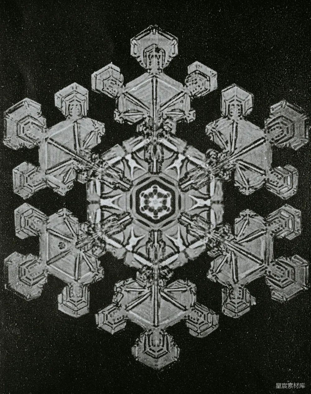 高清摄影 自然现象 微观世界 科学探索 冬季主题 结构美学 雪花晶体