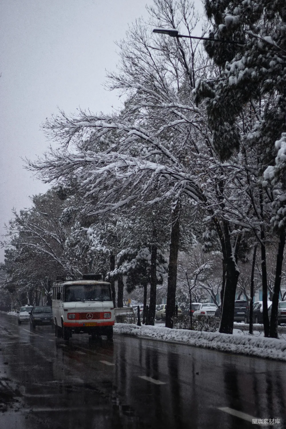 高清摄影 雪景 街道 冬季 树木 汽车 冬日雪景中的街道