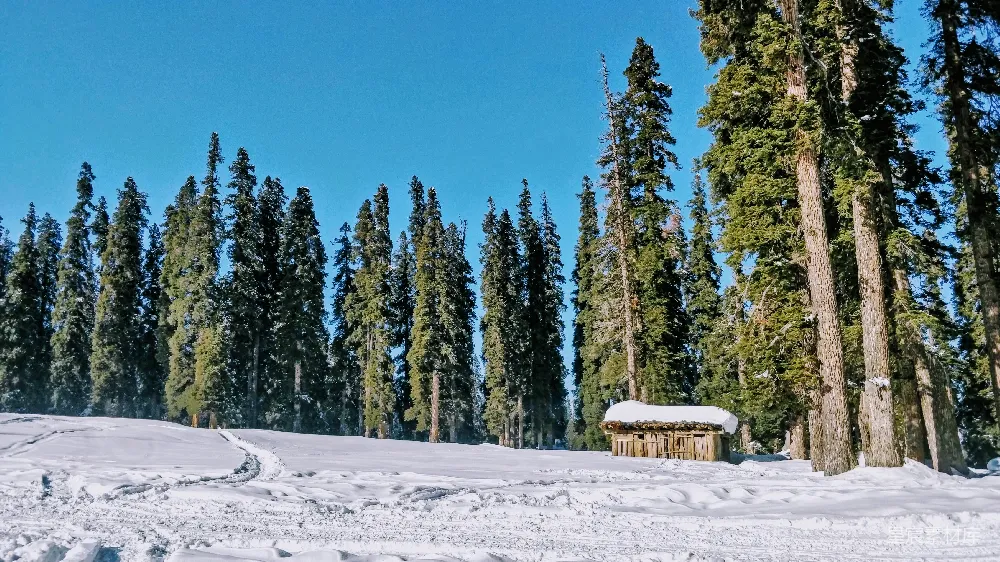 高清摄影 雪地 木屋 自然风光 冬季 宁静 雪地里的木屋