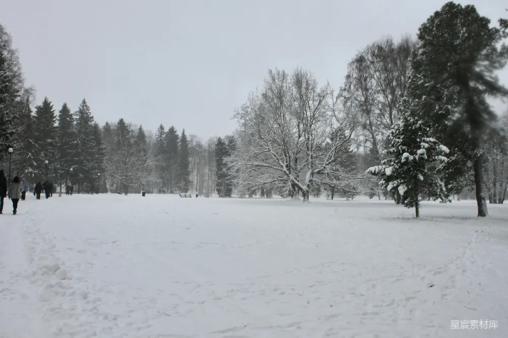 高清摄影 雪景 公园 冬季 自然风光 户外 冬日公园雪景