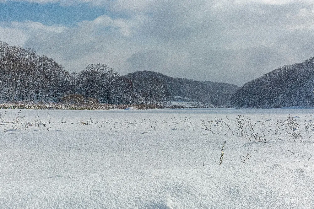 高清摄影 冬日 雪景 自然风光 宁静 山脉 冬日雪景