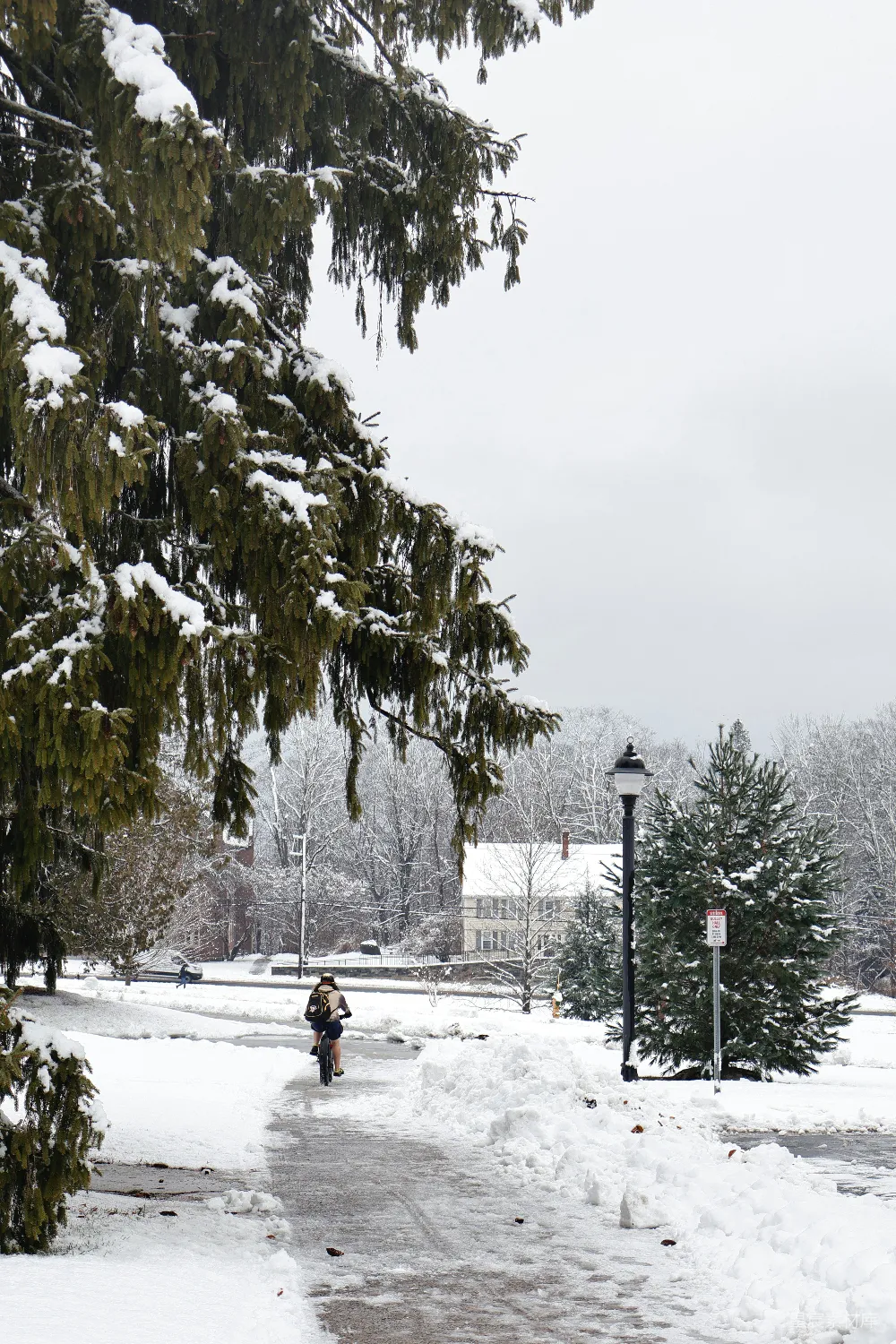 高清摄影 冬景 骑行 雪景 城市公园 冬季 冬日骑行的宁静