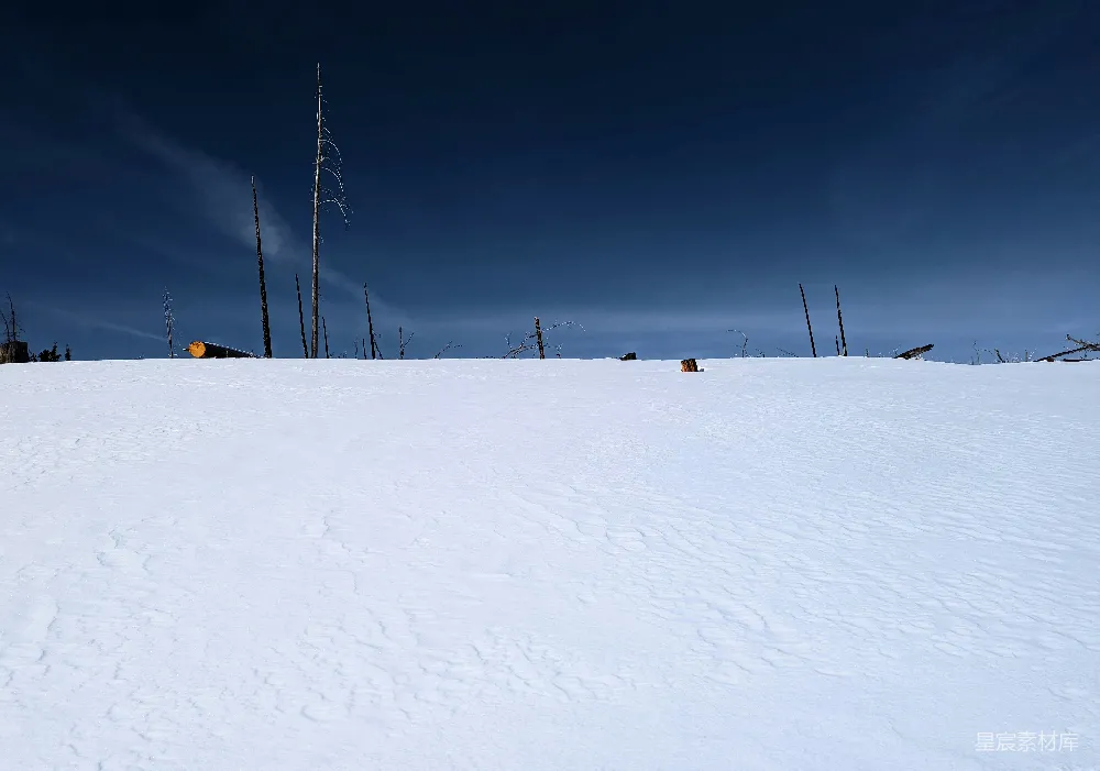 高清摄影 雪景 自然 宁静 冬季 户外 雪地静谧