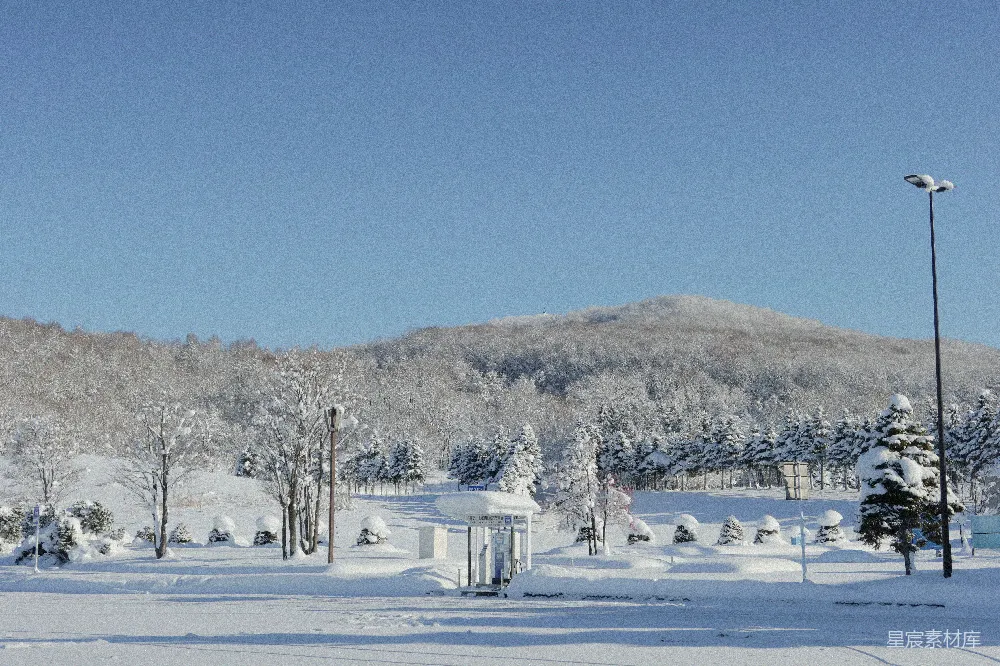 高清摄影 雪景 冬季 自然风光 宁静 户外 雪后的静谧山景