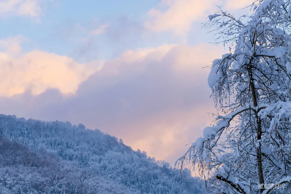 高清摄影 冬季 自然风光 风景图片 雪景 山林 冬日山林雪景