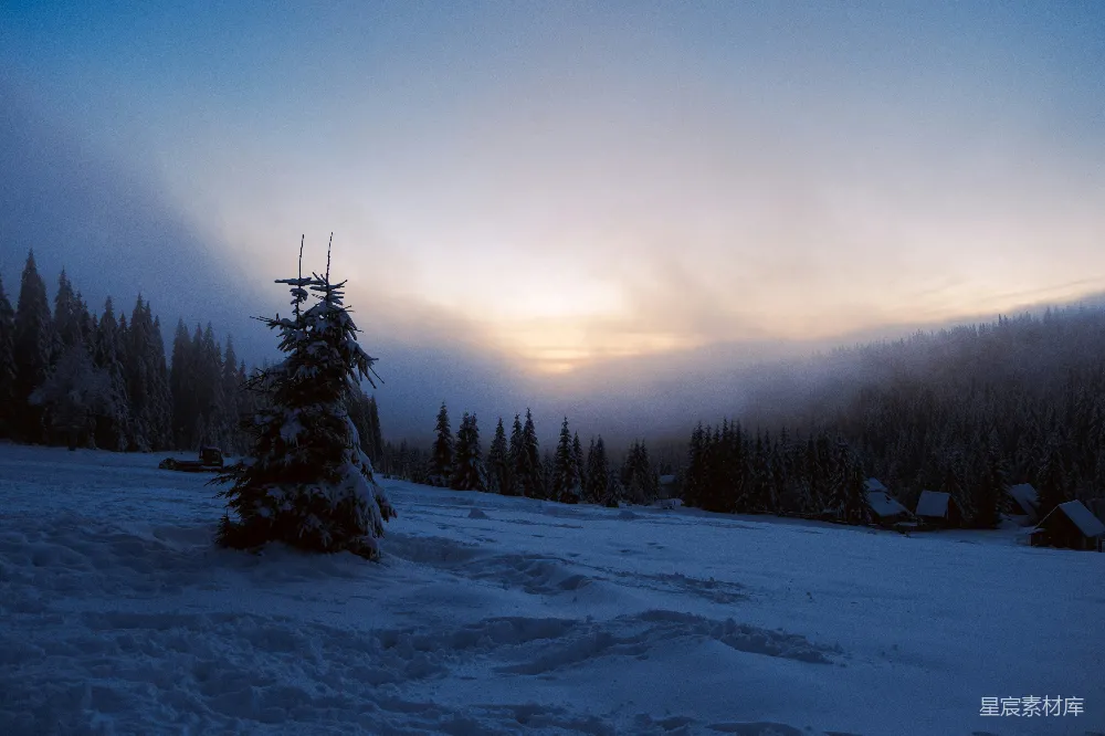 高清摄影 雪景 晨曦 森林 宁静 自然 冬日晨曦下的雪林