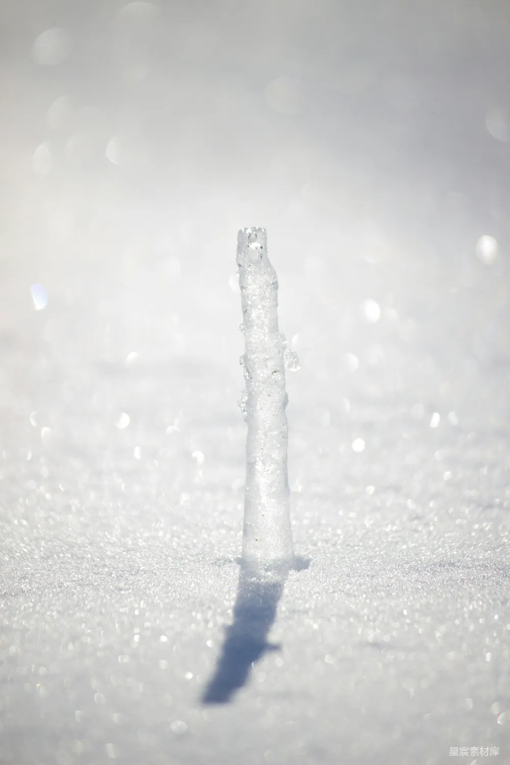高清摄影 雪景 冰柱 冬季 自然 纯净 雪中的冰柱