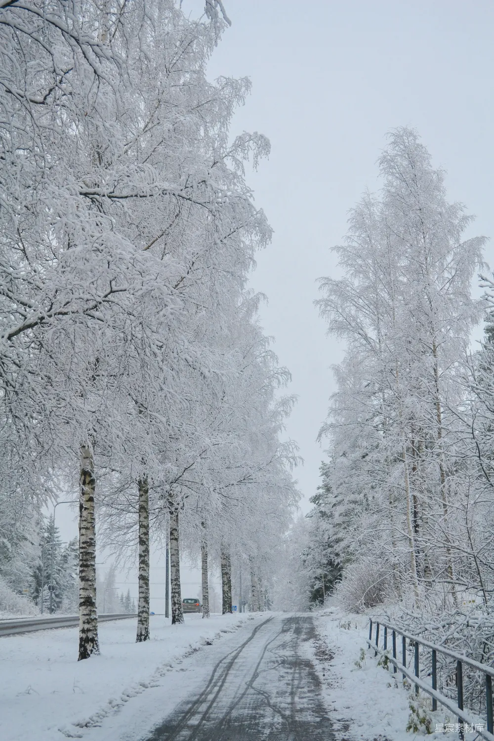 高清摄影 冬季 雪景 乡村小路 自然风光 宁静 冬日雪景中的静谧乡间小路