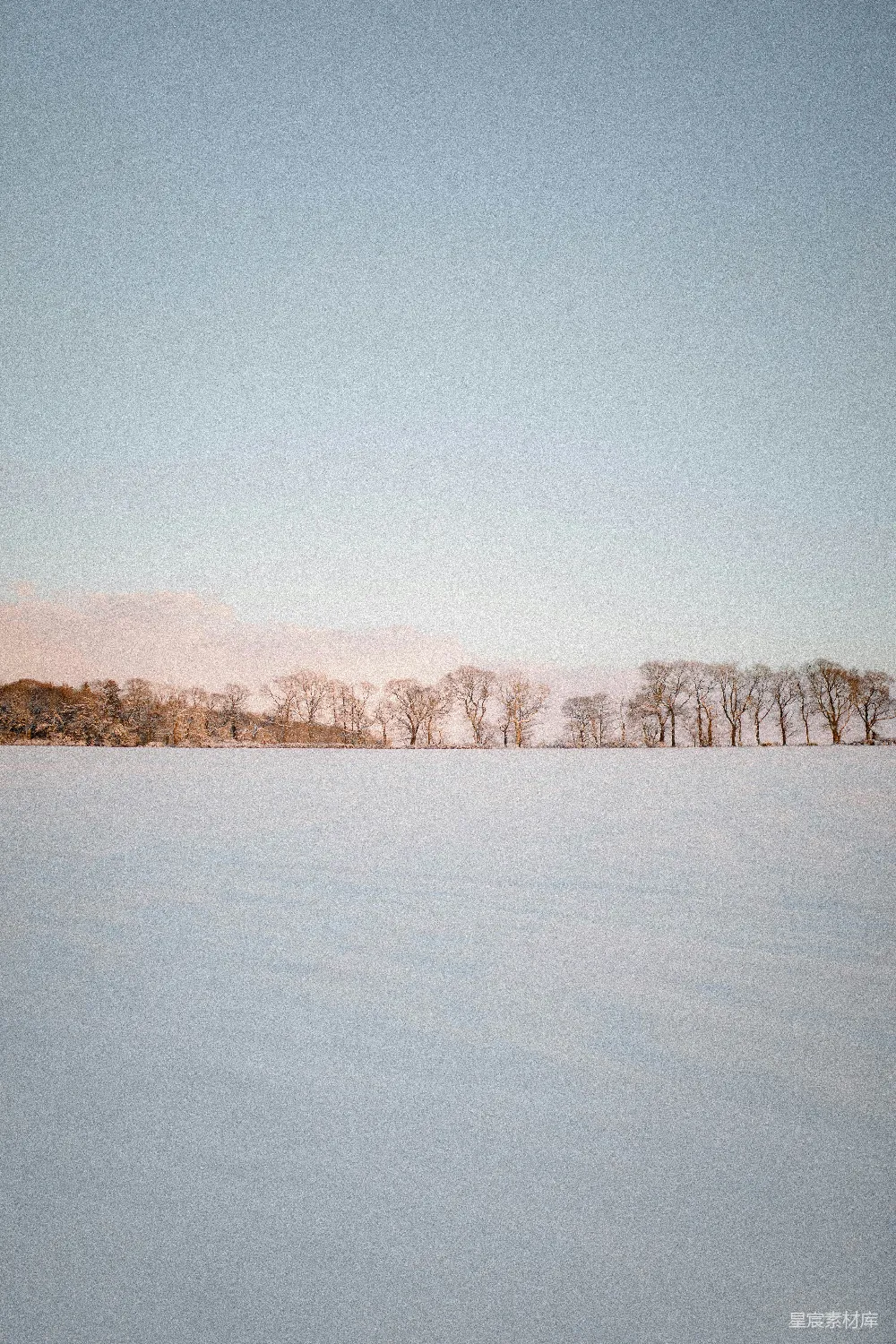 高清摄影 冬季 雪景 自然风光 宁静 户外 冬日雪景下的树林