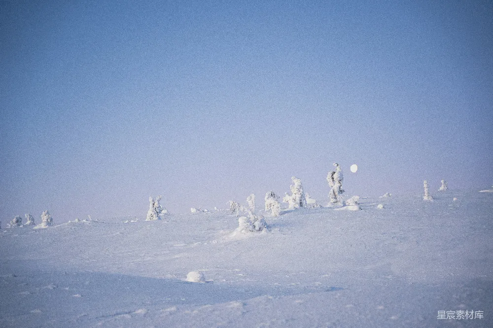 高清摄影 雪地 月光 自然 冬季 宁静 雪地中的月光与树影
