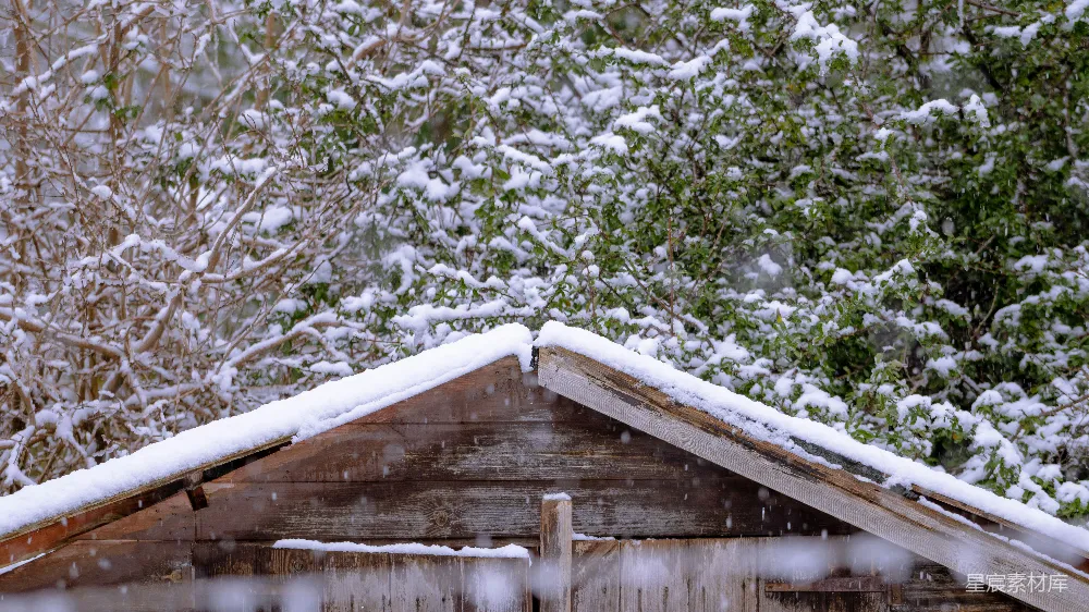 高清摄影 冬季 雪景 自然 静谧 乡村 冬日雪景中的木屋