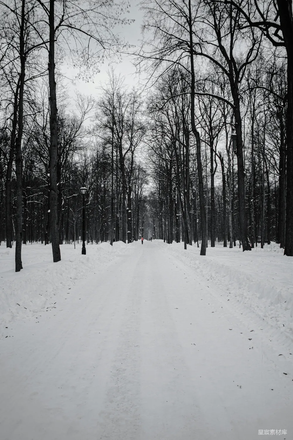 高清摄影 冬季 森林 雪景 宁静 自然 冬日林间小道