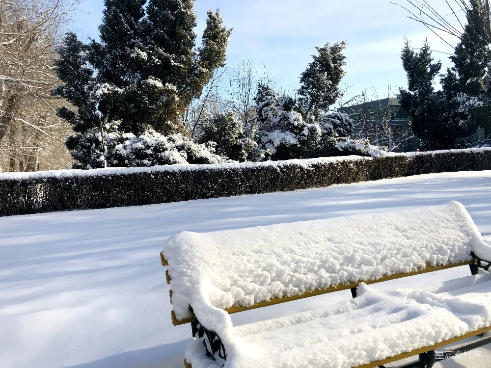 高清摄影 雪景 冬季 户外 宁静 自然 冬日雪景中的长椅