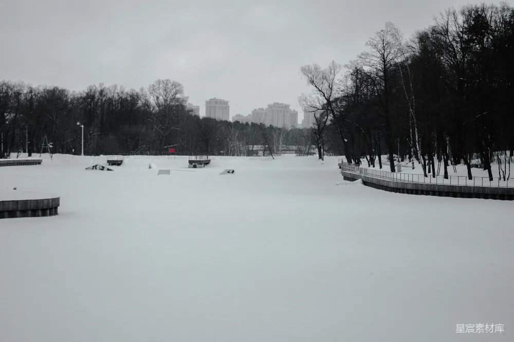 高清摄影 雪景 公园 冬季 自然 宁静 冬日公园雪景
