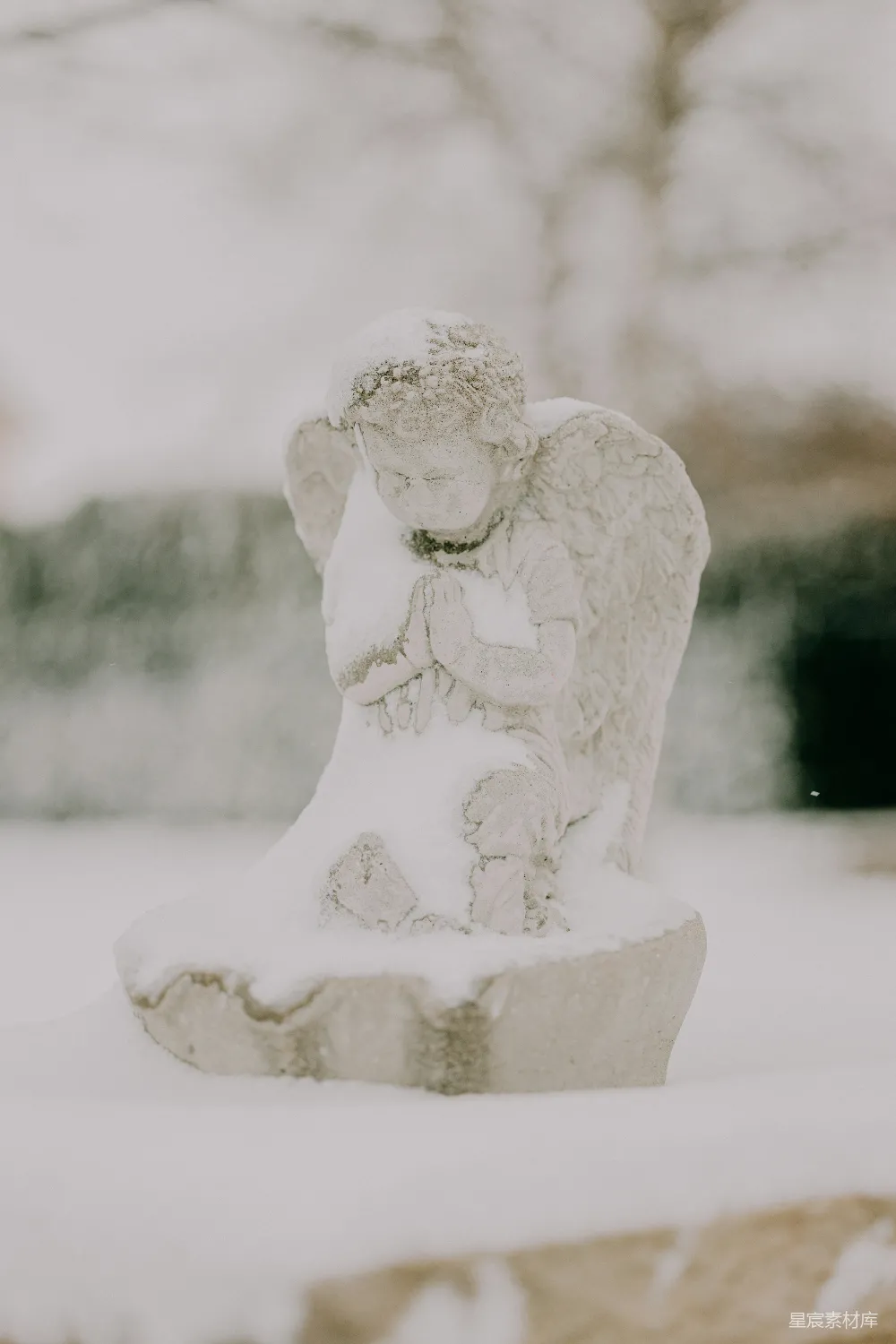 高清摄影 雪景 雕像 祈祷 冬季 宁静 雪中的天使雕像