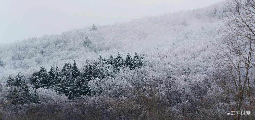 高清摄影 雪景 自然风光 冬季 山林 宁静 冬日山林雪景