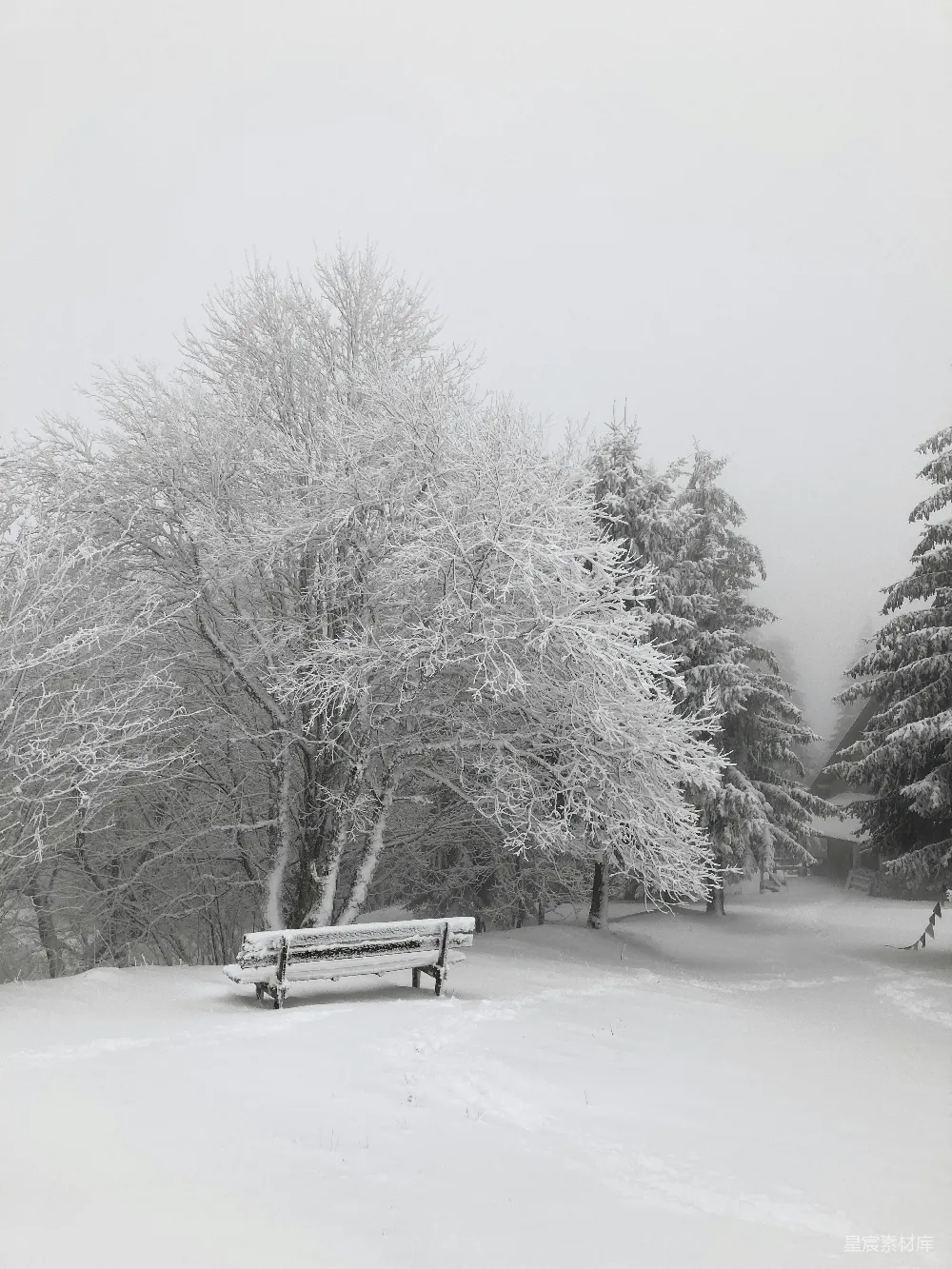 高清摄影 冬日 雪景 静谧 自然 户外 冬日雪景中的静谧长椅
