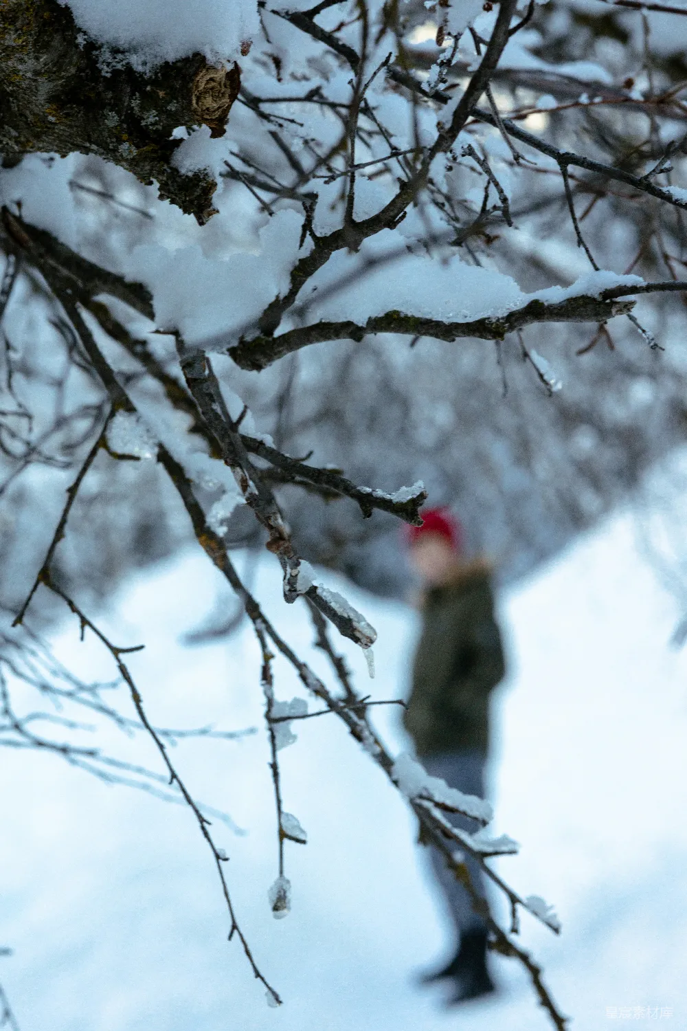 高清摄影 雪景 冬季 自然 户外 宁静 雪中的树枝与模糊身影