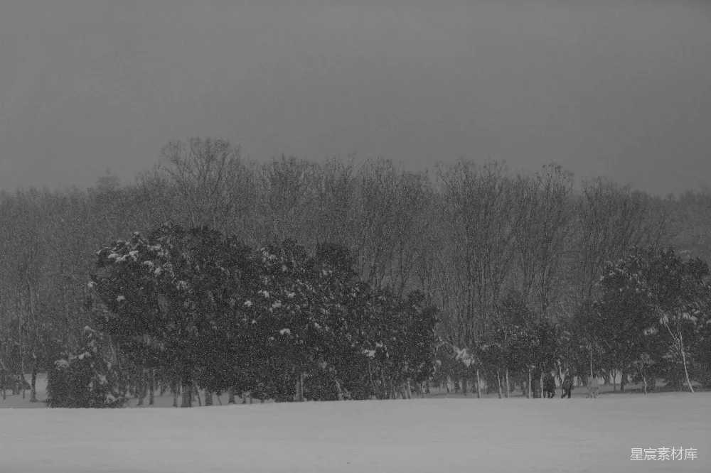 高清摄影 雪景 冬季 自然风光 户外 宁静 冬日雪景