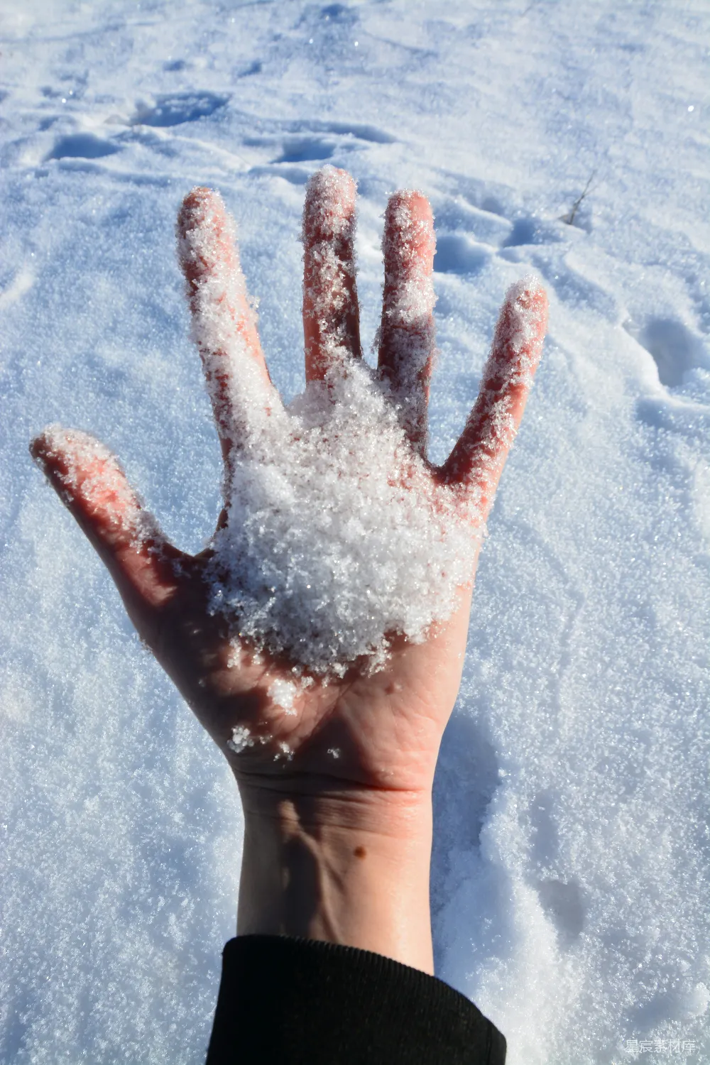 高清摄影 手 雪 冬天 自然 户外 手心上的雪花
