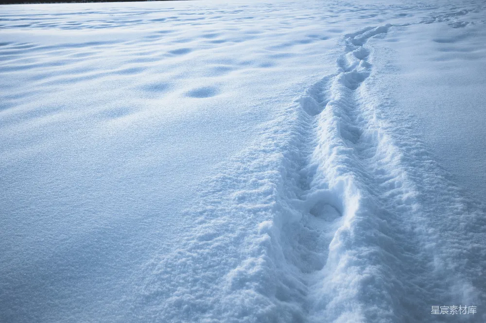 高清摄影 雪地 足迹 自然 宁静 户外 雪地上的足迹