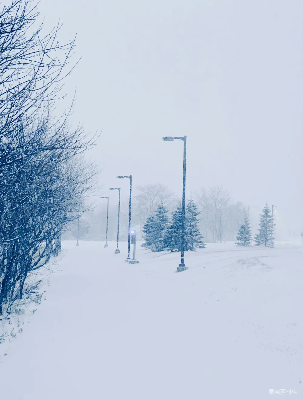 高清摄影 雪景 街灯 冬季 宁静 户外 雪中的街灯