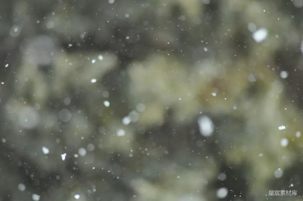 高清摄影 雪花 自然 冬季 寒冷 美丽 飘落的雪花
