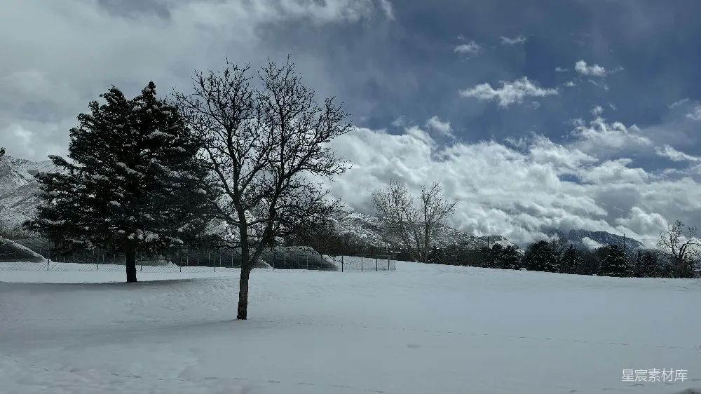 高清摄影 雪景 自然风光 冬季 户外 静谧 冬日雪景下的孤树