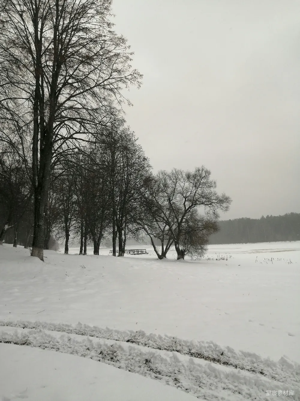 高清摄影 雪景 冬季 自然 宁静 乡村 冬日雪景中的宁静小径