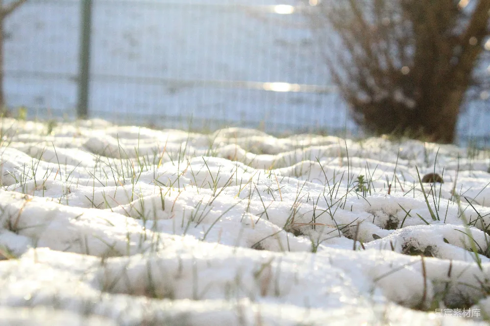 高清摄影 雪地 阳光 自然 冬季 户外 冬日阳光下的雪地